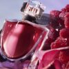 La vie est belle elixir – Image 4